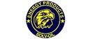 bolv oil